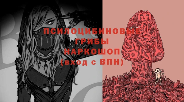 гашик Арсеньев