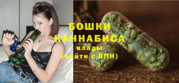 гашик Арсеньев