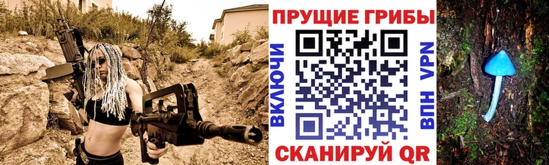 Галлюциногенные грибы Cubensis  Купить  Суоярви 